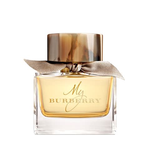 prix parfum burberry bebe|best burberry perfume for women.